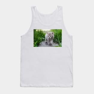 American Shorthair Kitten Digital Painting Tank Top